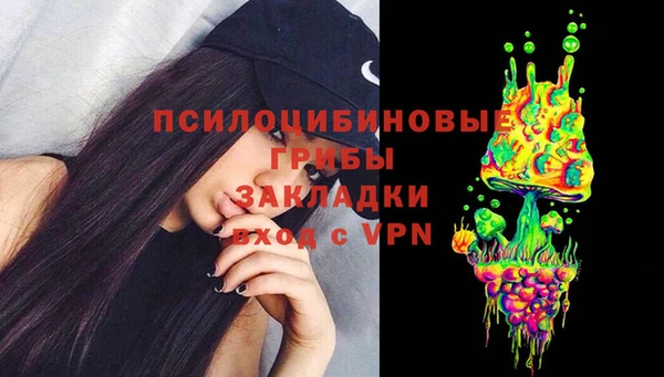 крисы Белокуриха