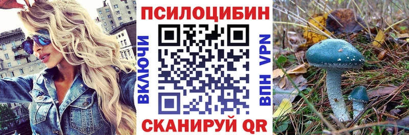 Псилоцибиновые грибы Psilocybine cubensis  blacksprut как зайти  Мончегорск 
